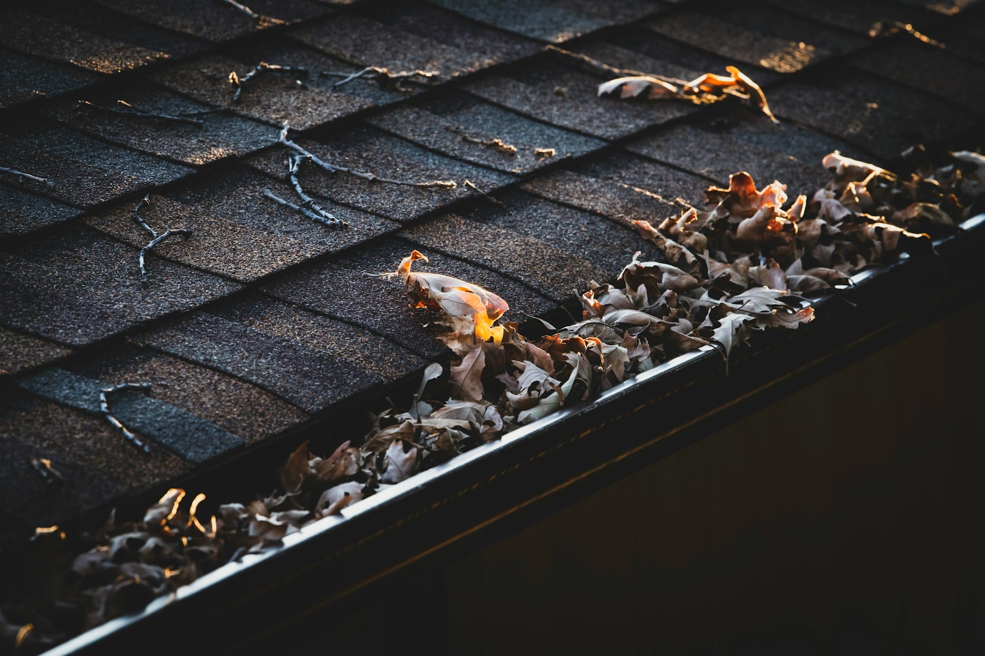 How Often Should You Clean Your Gutters | Totally Maintained