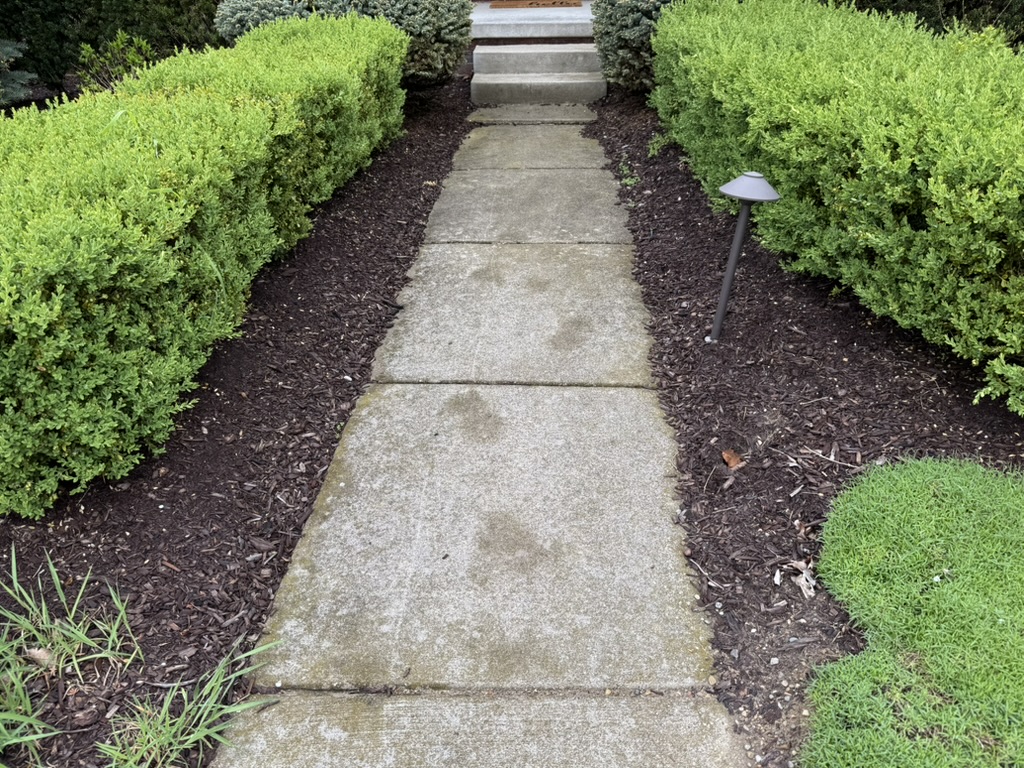 00B551E2-FD82-45D3-81B4-69583FA30F2C_1_105_c