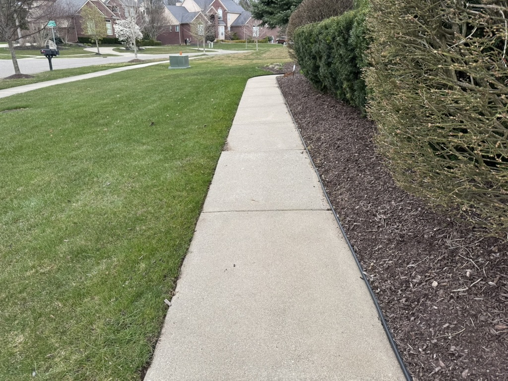 F0D19B9B-6C48-4A6F-B784-82D10530A899_1_105_c (1)