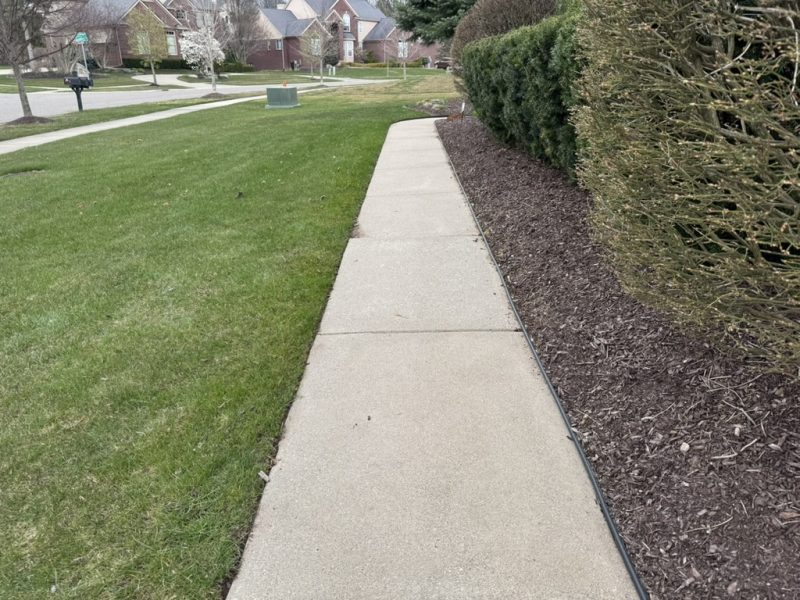 F0D19B9B-6C48-4A6F-B784-82D10530A899_1_105_c (1)